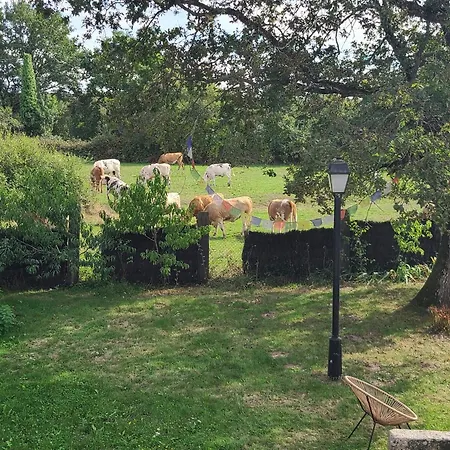 Havre De Paix: Grange Renovee, Confort & Nature, 2-4 Pers., - Fr-1-306-1248 Bed & Breakfast Blain